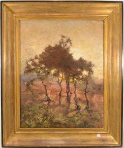 CLAES Jef 1871-1951,Paysage avec arbres,Rops BE 2016-01-31