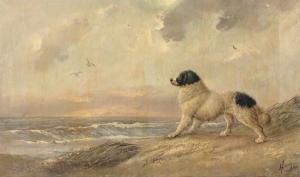 CLAESSENS Lambert Antoine 1762-1830,Hund am Meer,1896,Von Zengen DE 2017-03-17