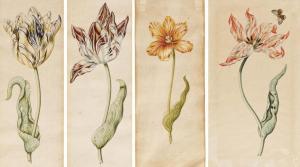 CLAESZ Anthony I 1592-1635,Tulips,Van Ham DE 2020-11-19