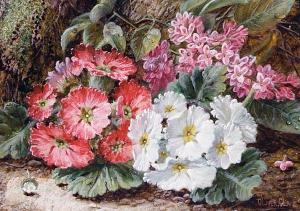 CLARE Oliver 1853-1927,Still life of primroses on a mossy bank,Bonhams GB 2008-09-09