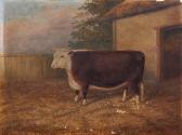 CLARK Albert 1880-1963,A Hereford Bull,1901,Reeman Dansie GB 2019-07-30