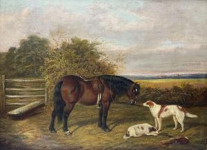 CLARK Albert 1880-1963,Horse and Dogs in a Paddock,Duggleby Stephenson (of York) UK 2022-07-08