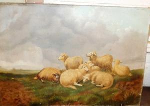 CLARK J,Sheep resting,Lacy Scott & Knight GB 2022-08-20