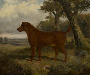 CLARK James 1834-1926,Study of a Dog in a Landscape,Tooveys Auction GB 2017-03-22