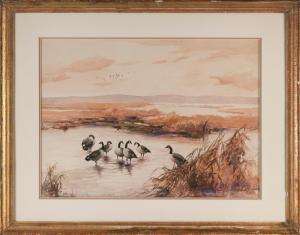 CLARK Roland 1874-1957,Canada geese in a marsh,Eldred's US 2023-04-06