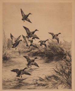 CLARK Roland 1874-1957,Mallards Rising,1927,Copley US 2011-01-15