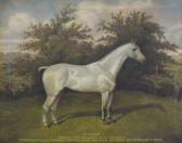 CLARK William Albert 1906-1937,Blodwen I , grey horse, standing in a rural landsc,Halls 2018-10-24