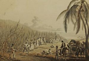 CLARK William 1800-1900,Ten views in the Island of Antigua,Rosebery's GB 2016-09-07