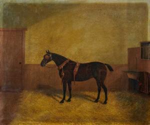 CLARKE ALBERT,'Verity', a dark bay horse, in harness in a stable,1885,Reeman Dansie 2021-04-27