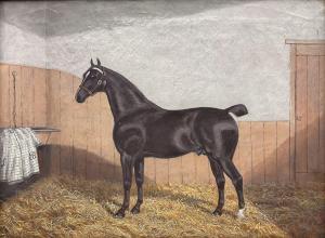 CLARKE ALBERT 1821-1909,Portrait of a Bay Horse in Stable,Duggleby Stephenson (of York) 2022-12-08