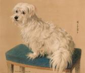 CLARKE Maurice 1875,Mitzi, a dandie dinmont terrier on a stool,Christie's GB 1999-11-26