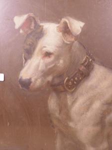 CLARKE Maurice 1875,Study of a Bull Terrier,1925,Crow's Auction Gallery GB 2017-11-08