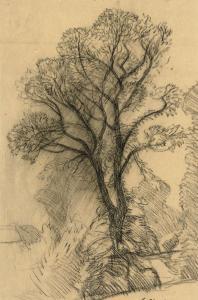 CLAUSEN George 1852-1944,Study of trees,Christie's GB 2011-01-11