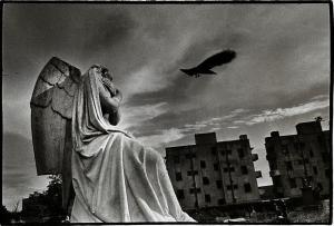 CLEMENT Krass 1946,L'oiseau de Calcutta,1984,Yann Le Mouel FR 2023-11-14