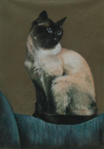CLEMENTS Joy Mary,STUDY OF CAT,Ross's Auctioneers and values IE 2022-11-09