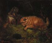 CLEMINSON Robert 1864-1903,Two terriers with a hedgehog,19th Century,Christie's GB 2000-06-15