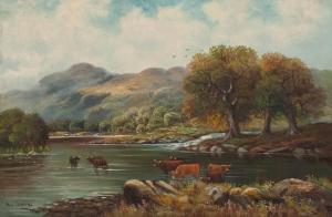 CLIFFORD PAUL 1900-1900,HIGHLAND CATTLE GRAZING,McTear's GB 2014-01-30
