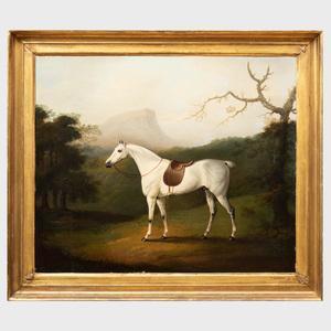 CLOWES Daniel 1774-1829,A Saddled Grey Hunter in a Wooded Landscape,Stair Galleries US 2019-08-03