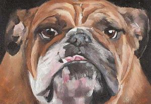 Coates John,BRITISH BULLDOG,Ross's Auctioneers and values IE 2018-09-05