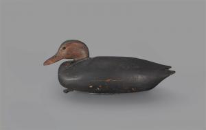 COBB JR Nathan 1825-1905,Purnell-Kirson Cobb Black Duck,1880,Copley US 2024-02-23