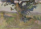 Cochrane Helen Lavinia 1868-1946,An Old Oak on Salisbury Plain,Gilding's GB 2017-01-24