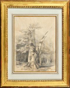 COIGNET Jules Louis Philippe 1798-1860,Etude d\’arbre,1834,Osenat FR 2024-04-07