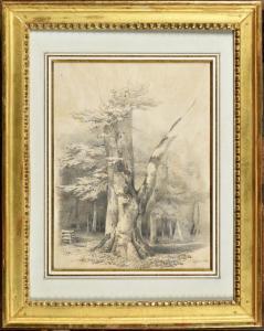 COIGNET Jules Louis Philippe 1798-1860,Etude d\’arbre,1834,Osenat FR 2023-06-18