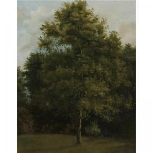 COIGNET Jules Louis Philippe 1798-1860,STUDY OF A TREE,Sotheby's GB 2008-06-05