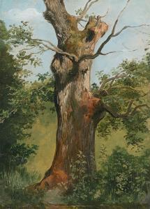 COIGNET Jules Louis Philippe 1798-1860,Tree study,Villa Grisebach DE 2023-06-01