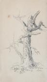 COLE Thomas 1801-1848,Studies of trees,1827,Swann Galleries US 2017-06-15