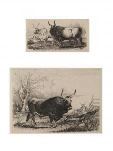 COLEMAN Charles,A SERIES OF SUBJECTS PECULIAR TO THE CAMPAGNA OF R,1850,Pandolfini 2017-06-20