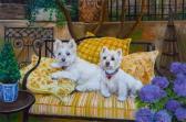 COLEMAN Constance,West Highland Terriers,2005,Hindman US 2019-04-23