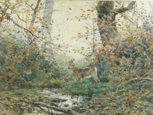 COLEMAN H E,Deer in woodland,Burstow and Hewett GB 2014-11-19