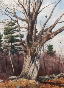 COLEMAN Loring Wilkins 1918-1988,Among Bare Maple Boughs,Skinner US 2020-01-23