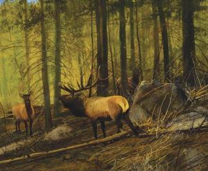 COLEMAN Michael 1946,Deep Woods Elk,Scottsdale Art Auction US 2024-04-12