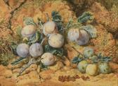 Collier Thomas Fredrick,Still life of plums and redcurrants on a mossy ban,1873,Cheffins 2018-09-27