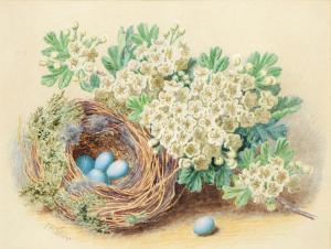 Collier Thomas Fredrick 1825-1885,Still Life with a Bird's Nest,Mellors & Kirk GB 2023-11-07