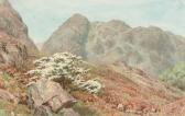 COLLINGWOOD William Gershom 1854-1932,Raven Crag, Yewdale, Coniston ; and A woodlan,1929,Christie's 2007-02-21