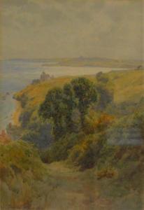 COLLINS Charles II 1851-1921,landscape of St Mawes Castle,John Taylors GB 2021-11-16