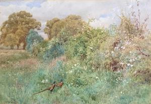 COLLINS Charles 1818-1899,Study of a Hedgerow,David Lay GB 2021-07-22