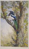 COLLINS George Edward 1880-1968,The Lone Magpie,Adams IE 2007-07-03