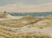 COLLUM Wendell F 1900-1900,Harding's Beach, Chatham,Eldred's US 2009-04-03