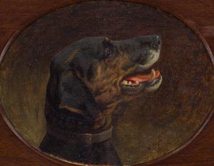 COLLYER Margaret 1872-1945,Portrait of a Black Dog,Strauss Co. ZA 2022-06-06