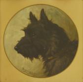 COLLYER Margaret 1872-1945,PORTRAIT OF A TERRIER,1910,Sworders GB 2019-04-30