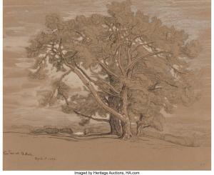 COLMAN Samuel 1832-1920,Pine Trees at El Monte,1898,Heritage US 2019-03-08