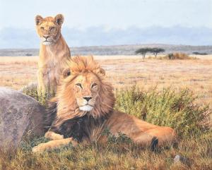 COMBES Simon 1940-2004,A LION AND LIONESS, SERENGETI, TANZANIA ,,1991,Dreweatts GB 2023-03-15