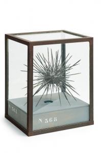 CONAN Christophe 1966,Oursin,Neret-Minet FR 2023-05-26