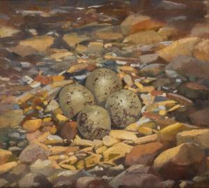 Connolly Rose,RINGED PLOVER'S EGGS,1992,Whyte's IE 2021-03-01