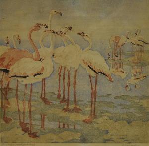 CONSENTIUS Elisabeth 1878-1936,Flamingos,Reiner Dannenberg DE 2011-03-25