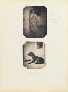 CONSTANT DELESSERT ADRIEN 1806-1876,ALBUM PHOTOGRAPHIQUE,1857,Sotheby's GB 2011-11-11